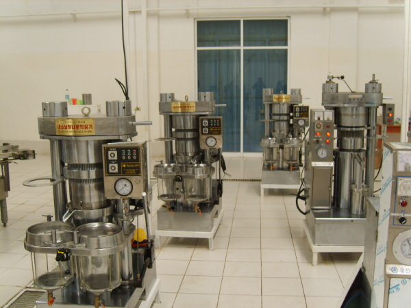 Installation of Oil Press in Mexico Seed Oil Factory
